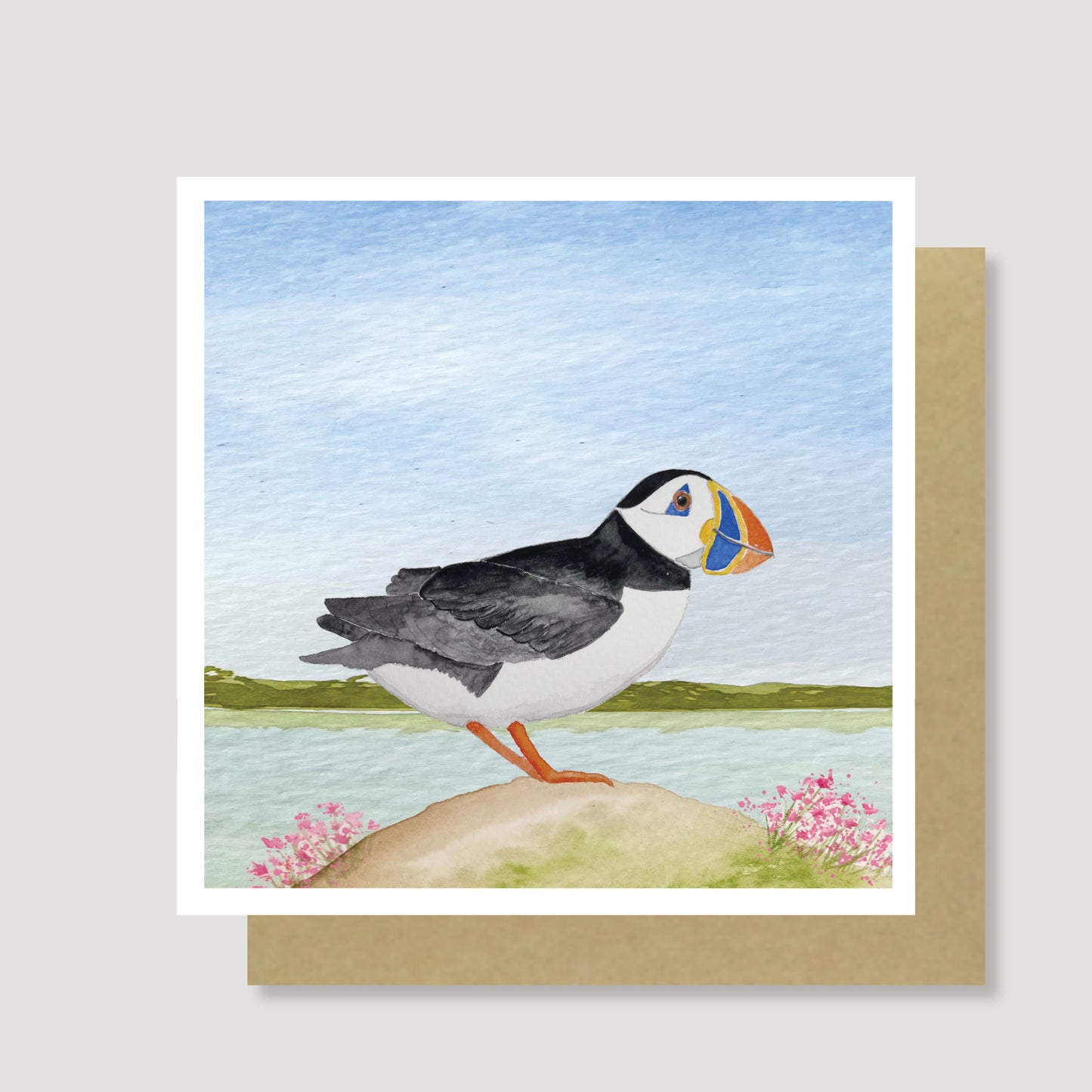 Puffin on rock blank card
