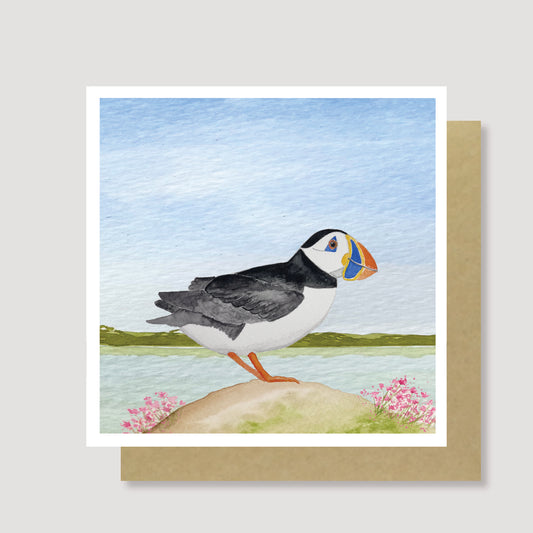 Puffin on rock blank card - pack of 6