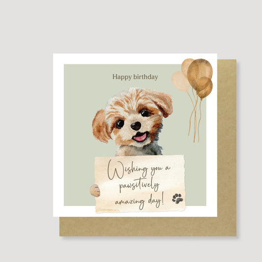 Maltipoo pawsitively amazing birthday card